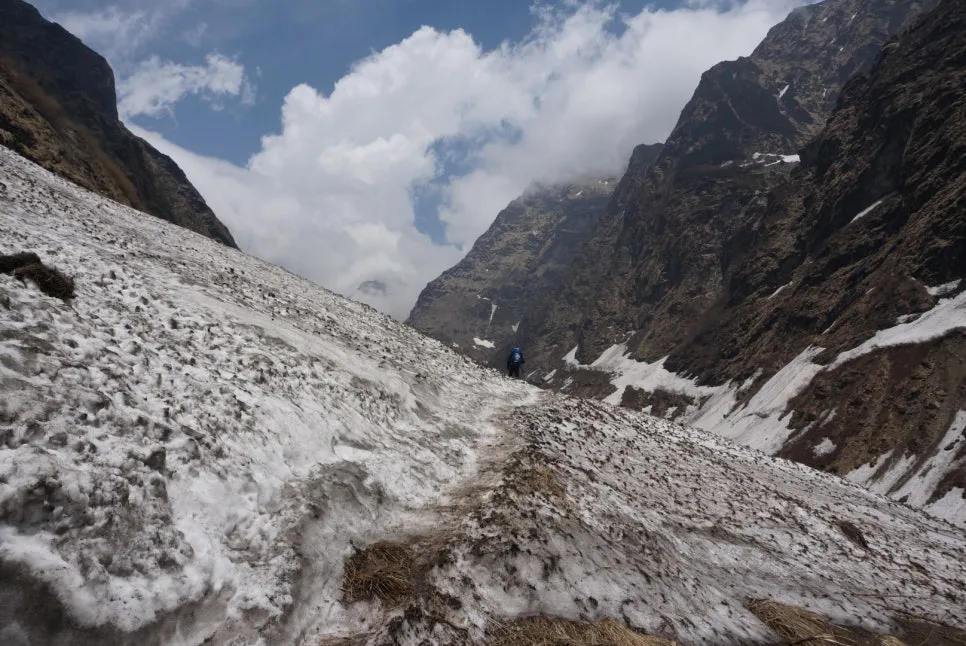 DSC05886.jpeg?type=w966