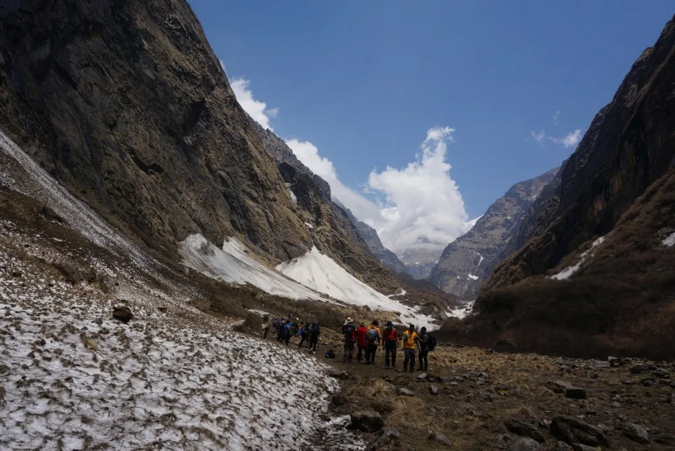 DSC05877.jpeg?type=w966