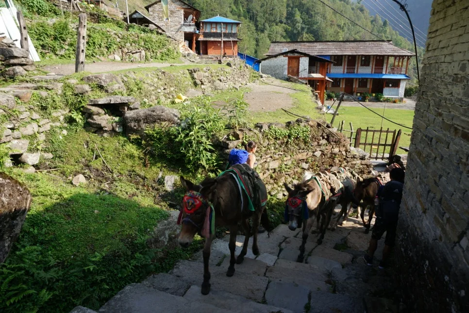 DSC05744.JPG?type=w966