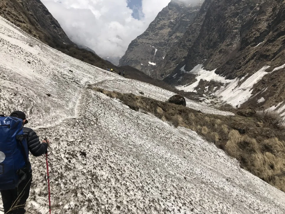 IMG_6529.jpg?type=w966