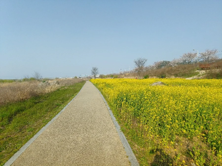 1586252648720.jpg?type=w966