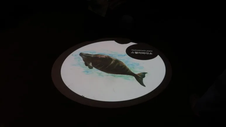 IMG_1513.JPG?type=w773