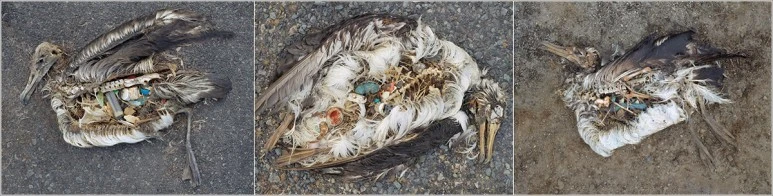 ourstory+1.jpg?type=w773