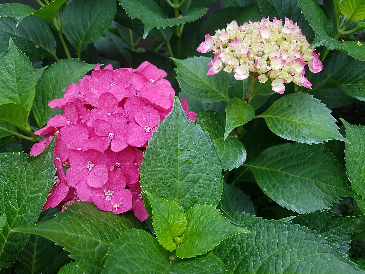 다운로드 (5).jpeg