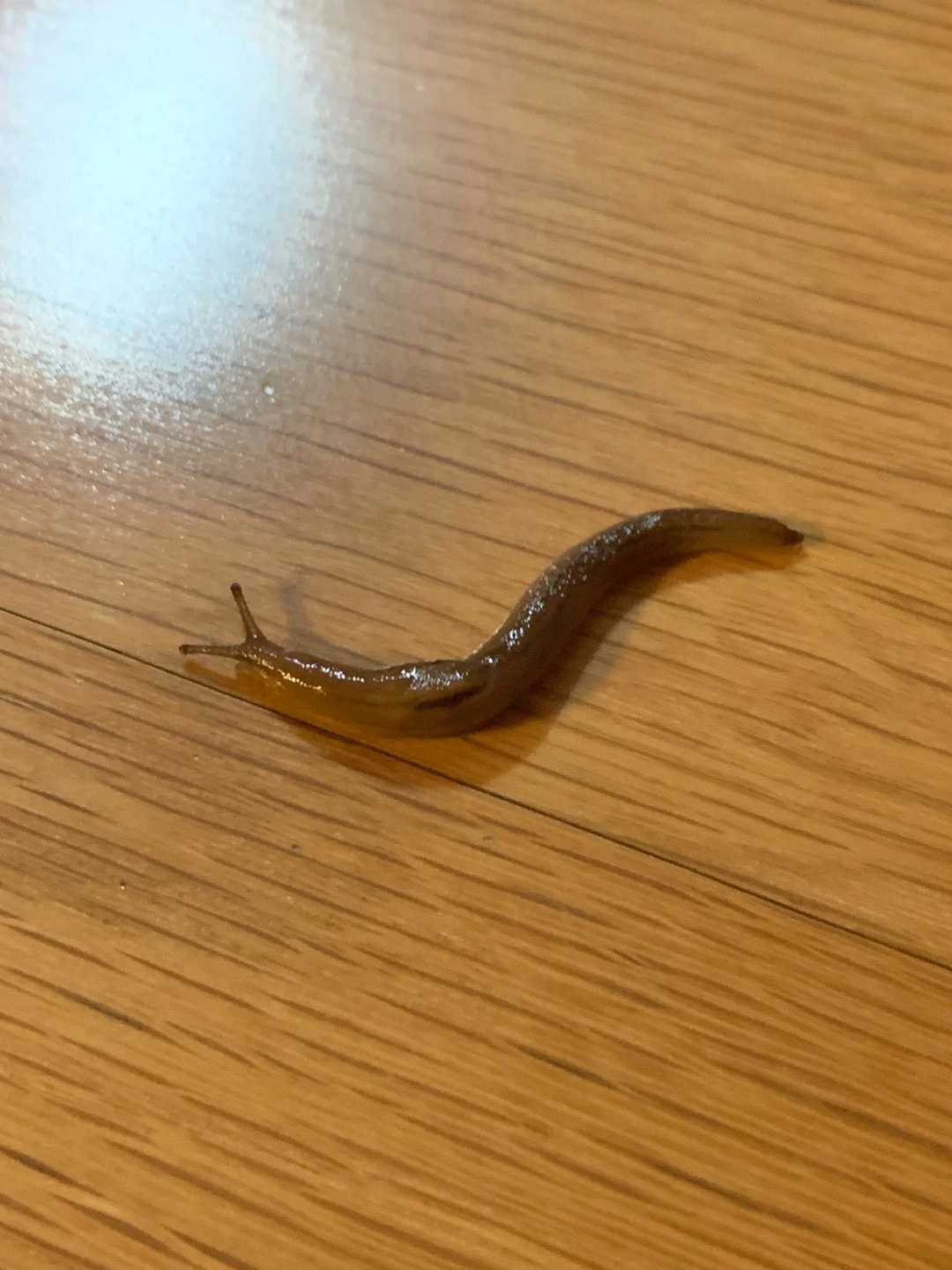 다운로드 (2).jfif