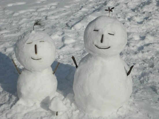 다운로드 (4).jpeg