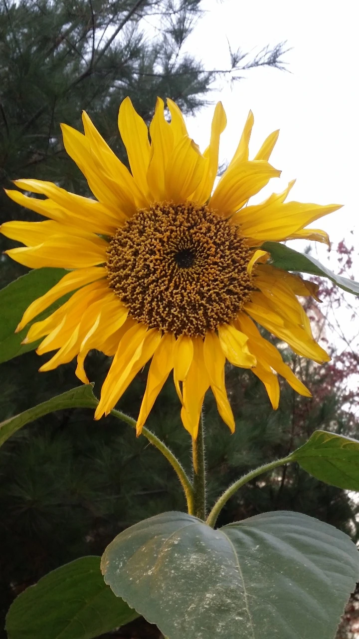 다운로드 (12).jfif