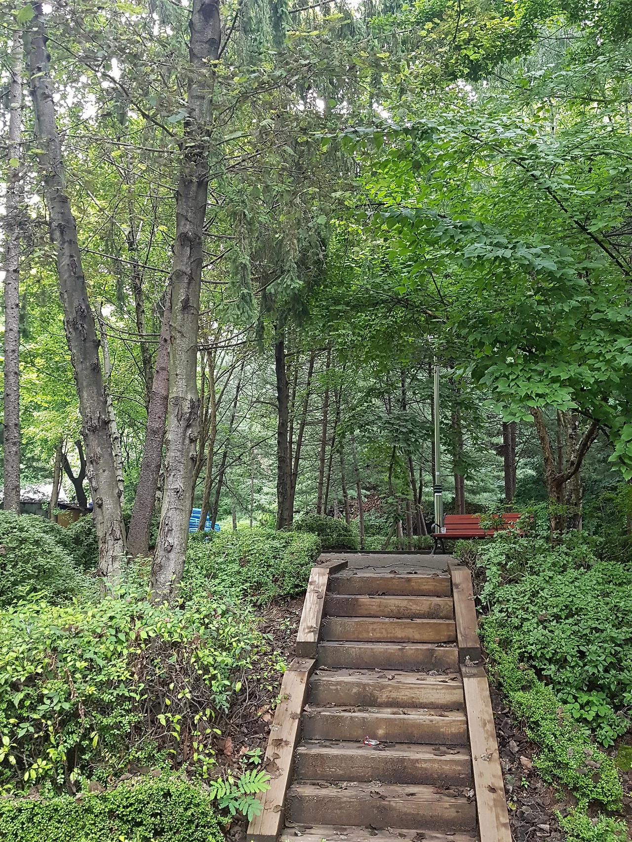 다운로드 (1).jpeg