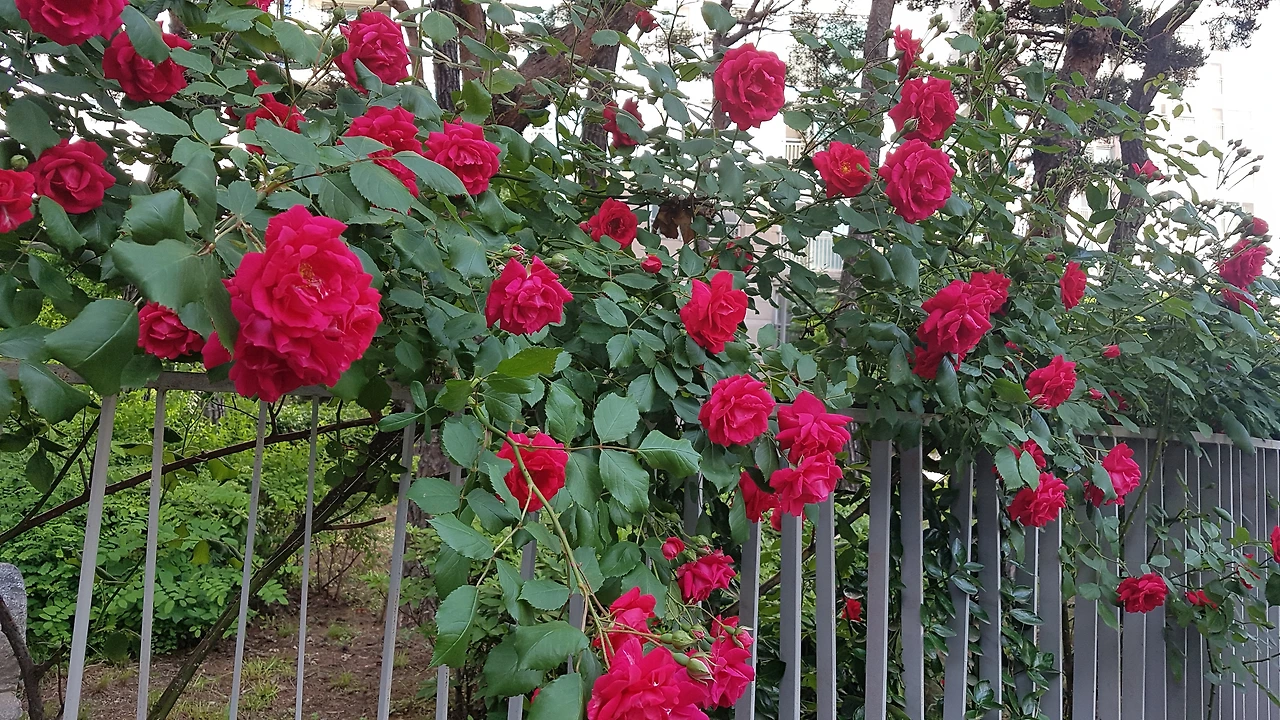 다운로드 (48).jpeg