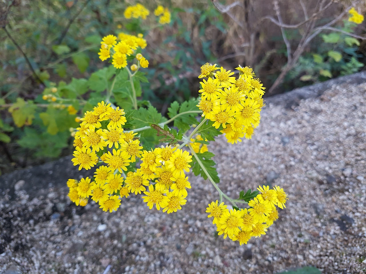 다운로드 (30).jfif