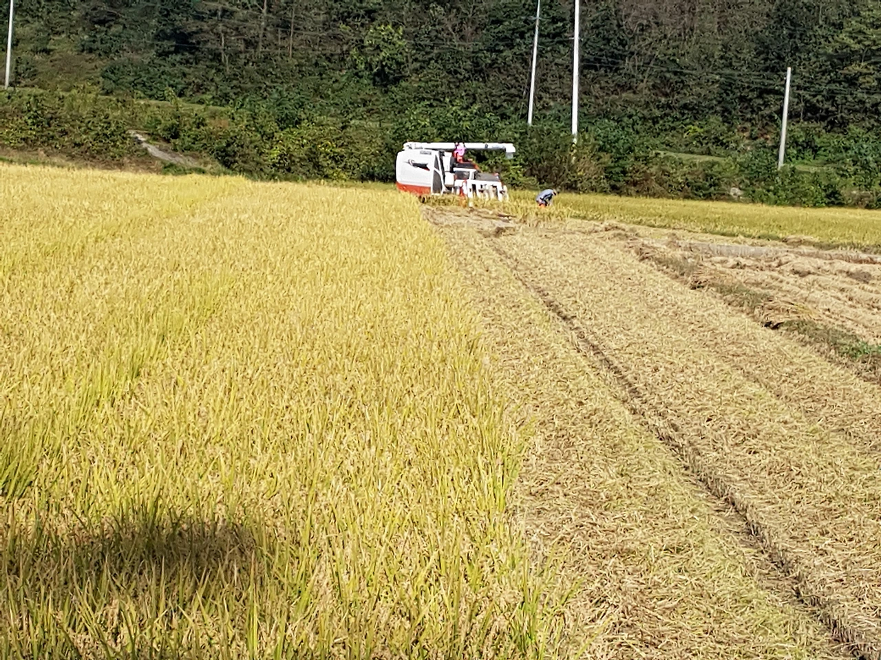 다운로드 (11).jfif