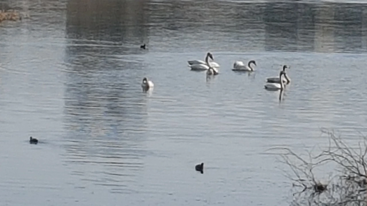 다운로드 (42).jpeg