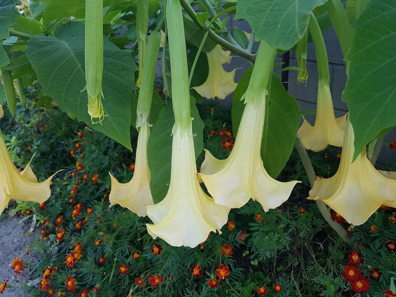 다운로드 (31).jfif