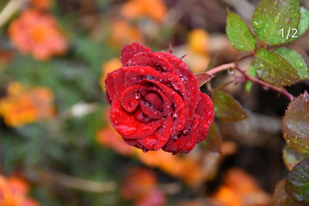 다운로드 (1).jpeg