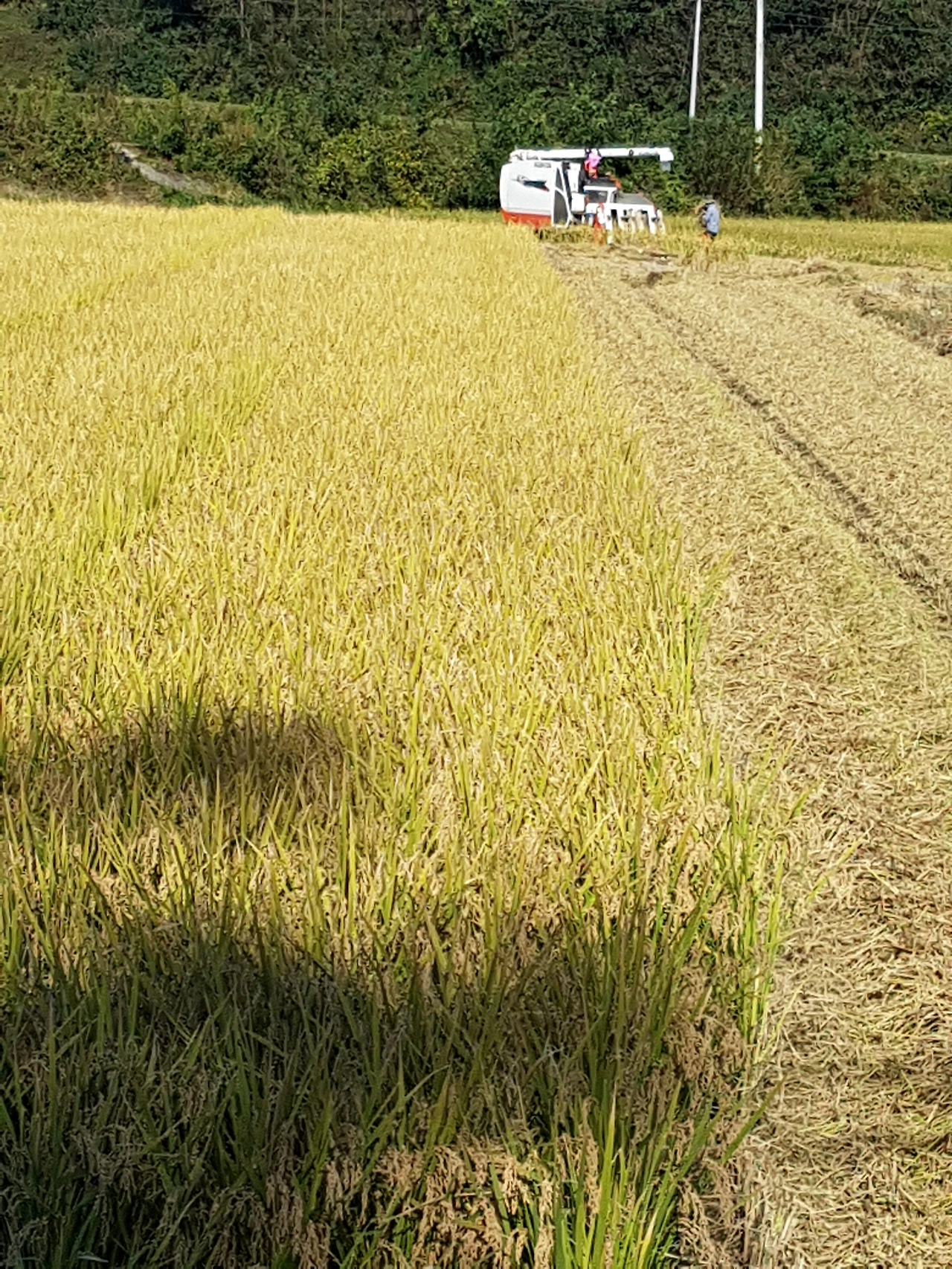 다운로드 (10).jfif