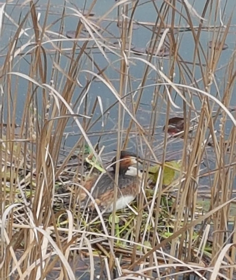 다운로드 (1).jfif