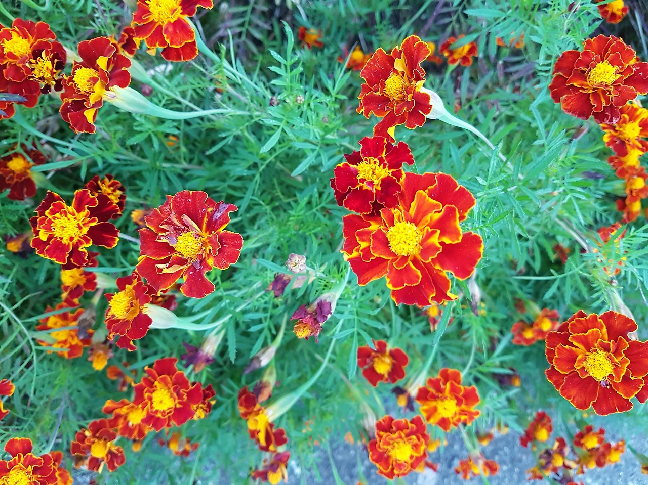 다운로드 (32).jfif