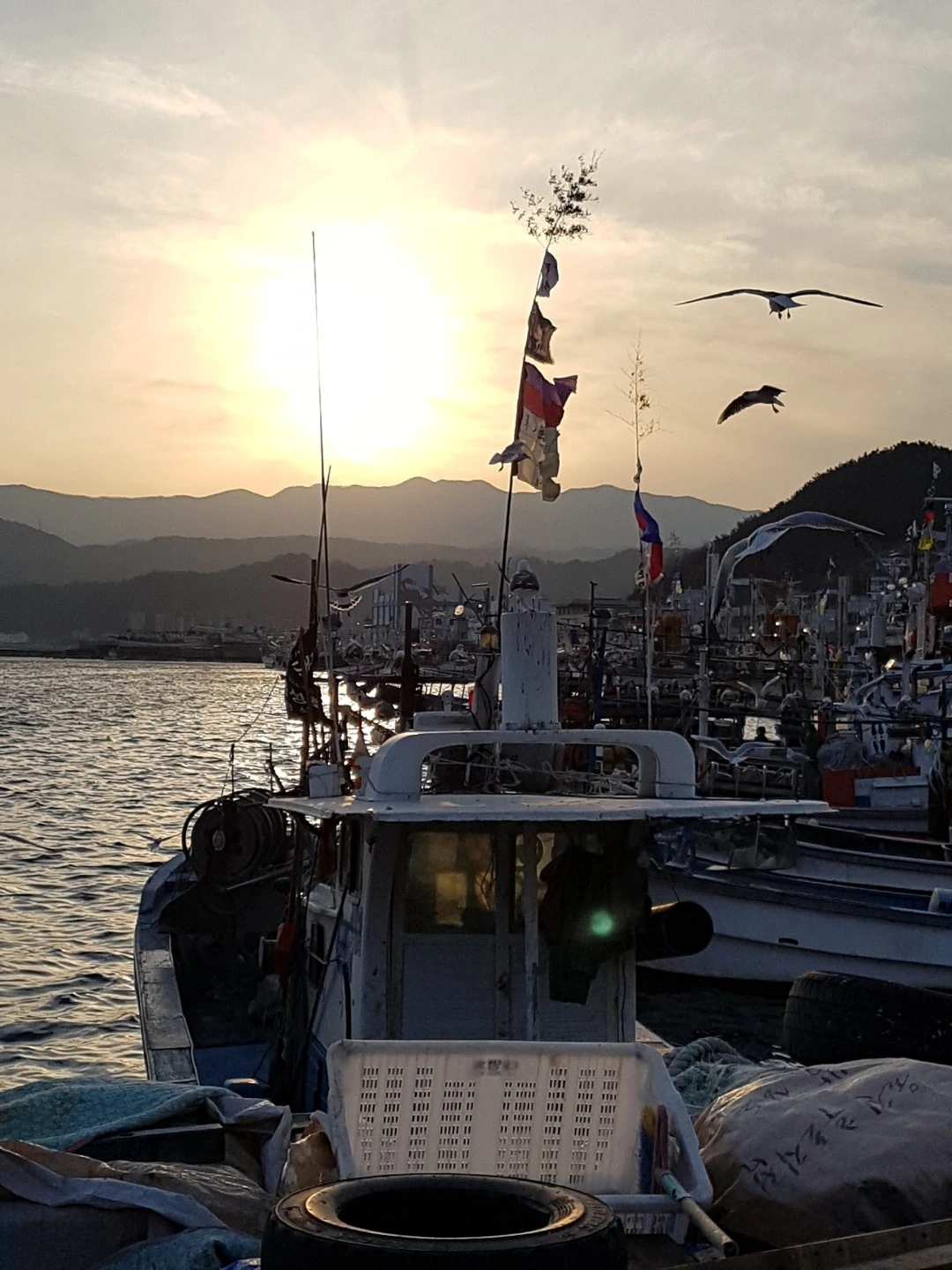 다운로드 (9).jpeg