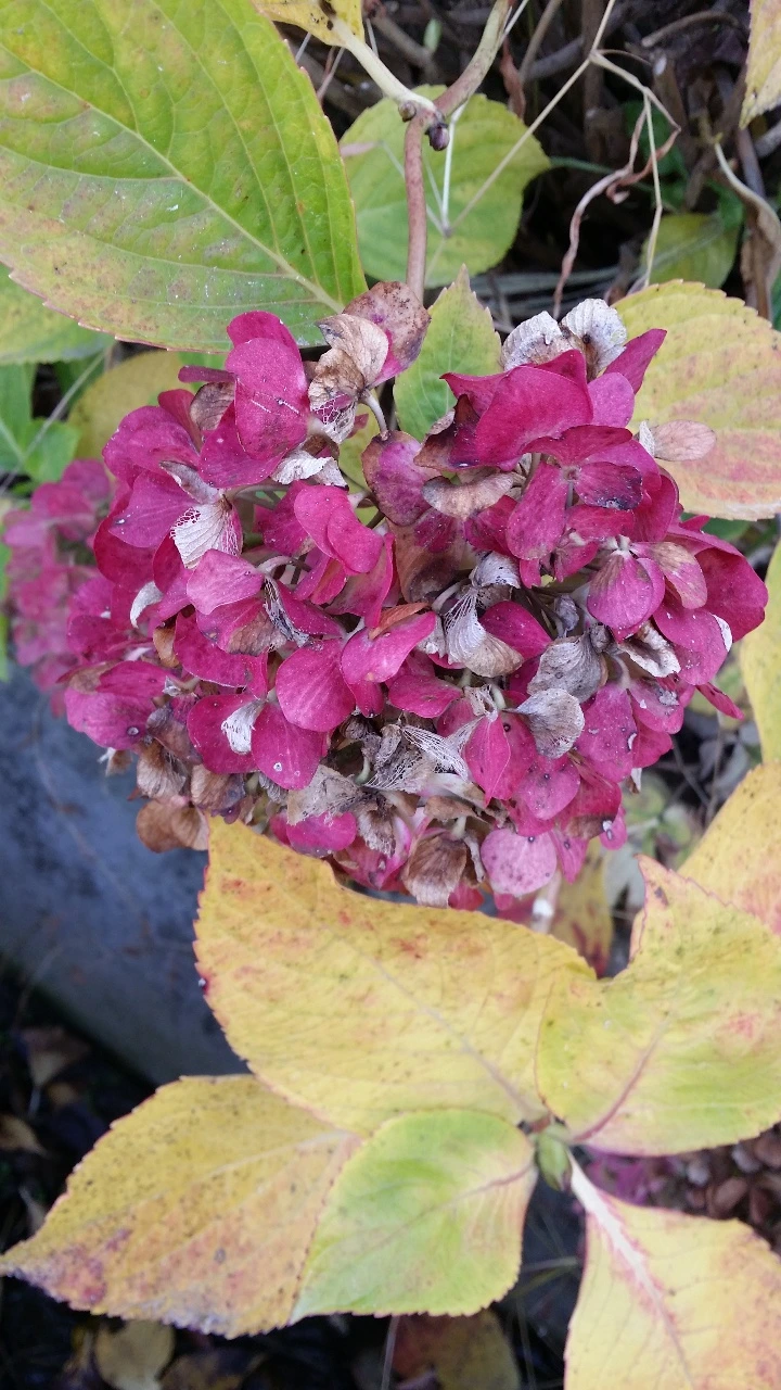 다운로드 (24).jfif