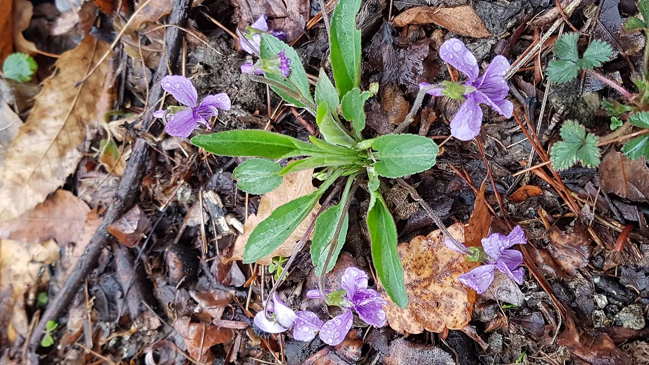 다운로드 (42).jpeg