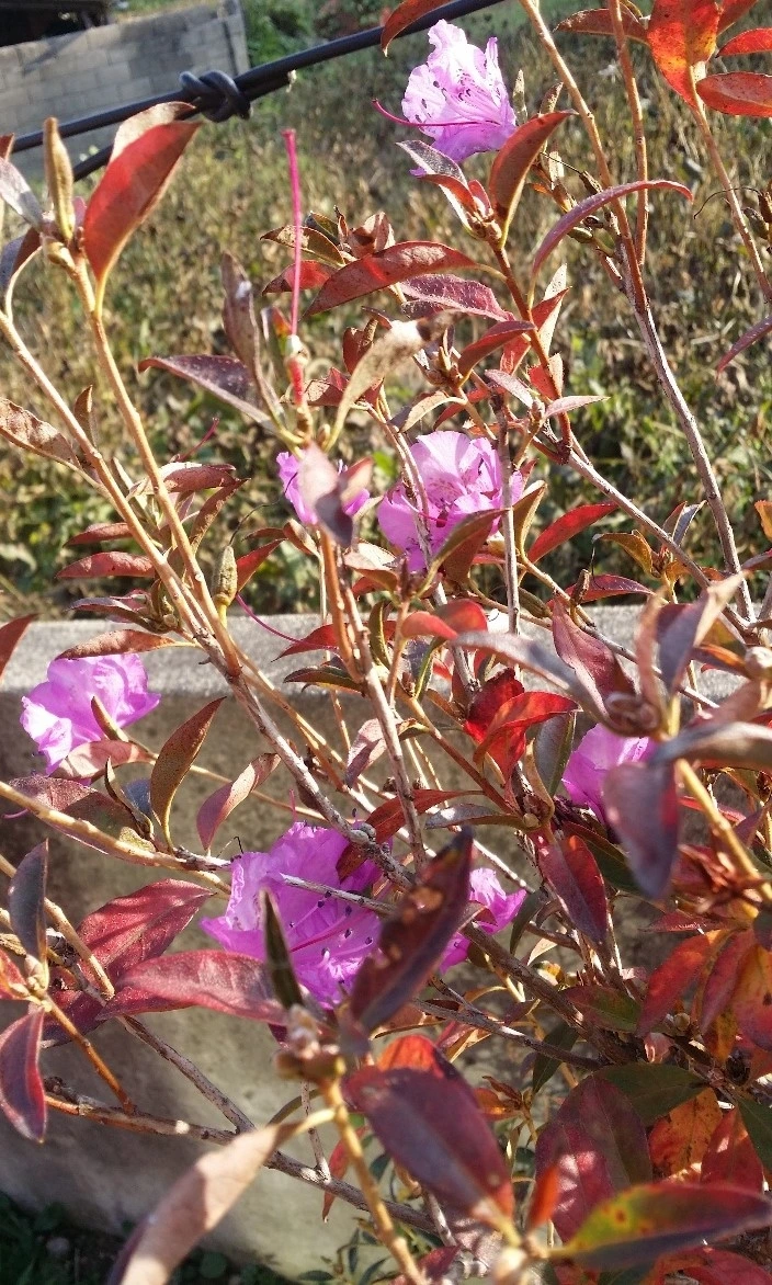 다운로드 (28).jfif