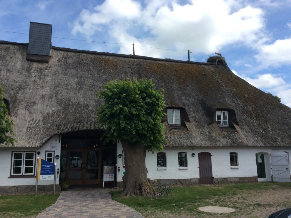 IMG_6431.jpeg?type=w966