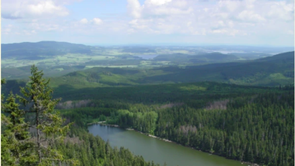 1696_3969_2220.png?type=w1200