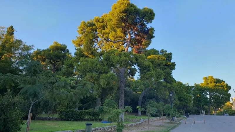 KakaoTalk_20240918_111021538_06.jpg?type=w800