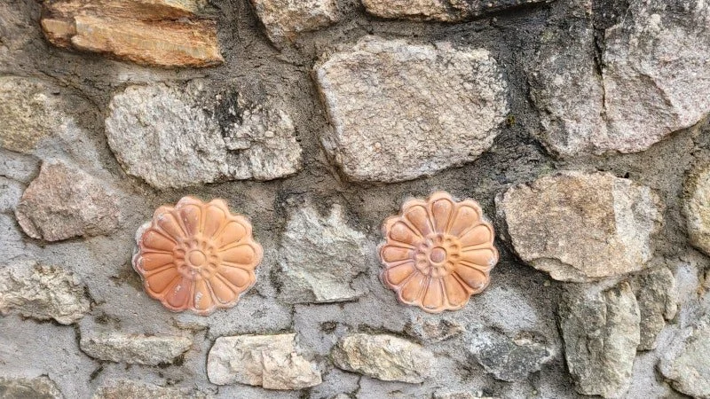 A_20240919_213423_%2828%29.jpg?type=w1200