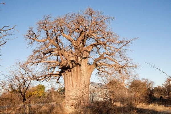 1694_4211_5414.jpg?type=w1200