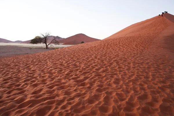 1694_3908_058.jpg?type=w1200