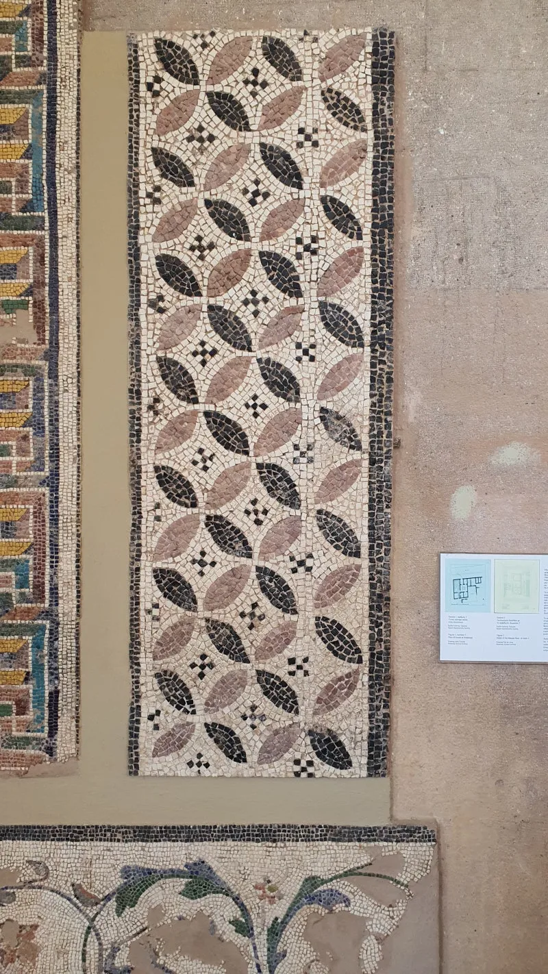 KakaoTalk_20240919_050102395_07.jpg?type=w800