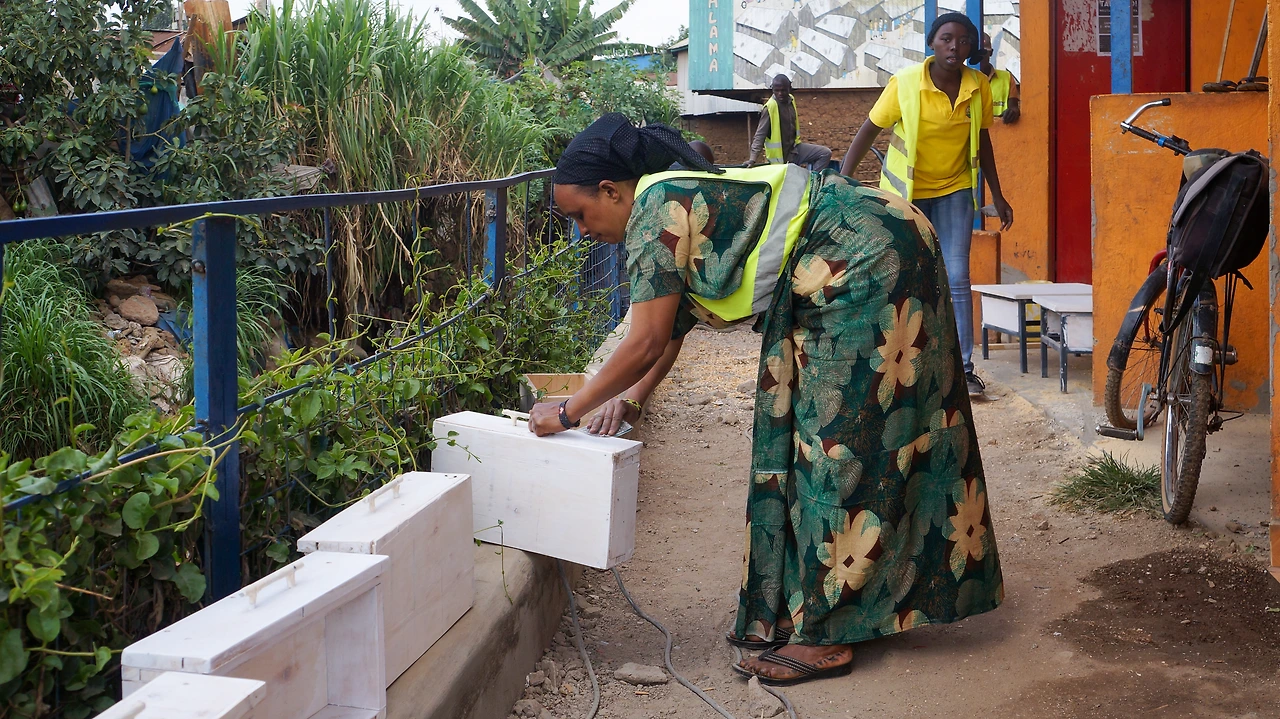 ndovu_playbaze (2).jpeg