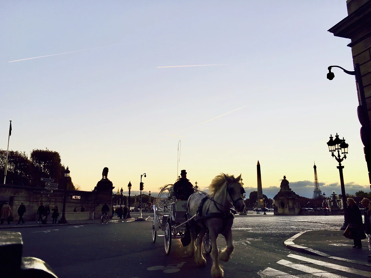 FullSizeRender 14.jpeg