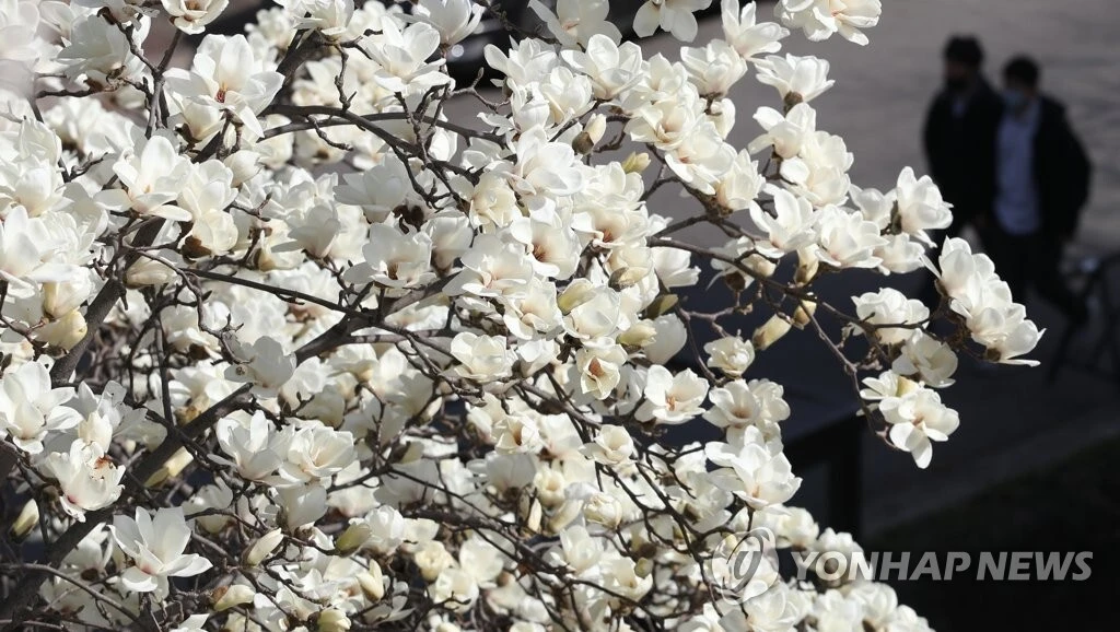 02d5514ce6eb47db073b1160135f913b75cf96a7