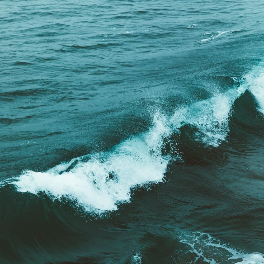 photo-1542228556-0125288e633d?q=80&w=1000&auto=format&fit=crop&ixlib=rb-4.0.3&ixid=M3wxMjA3fDB8MHxwaG90by1wYWdlfHx8fGVufDB8fHx8fA%3D%3D