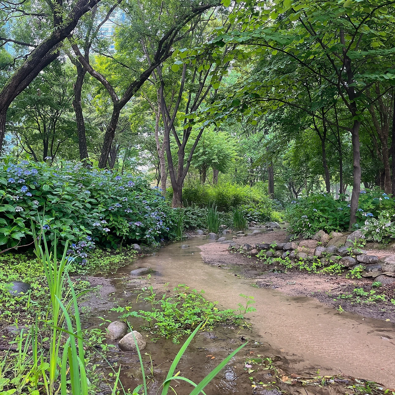 러너스 스트릿 #RS_007_3.JPG