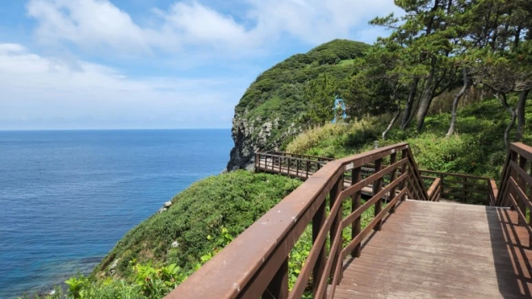 20220727%EF%BC%BF123507.jpg?type=w773