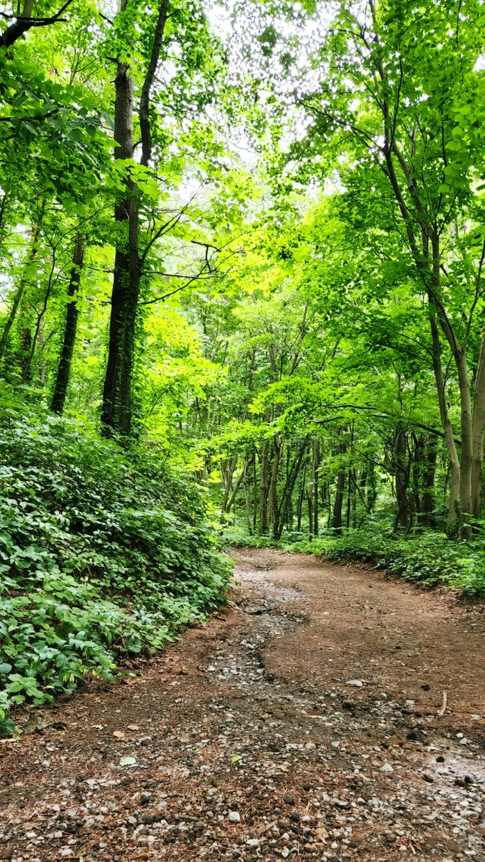 SE-e61f4b20-37fc-11ed-b9a7-dfb3540481e6.jpg?type=w773