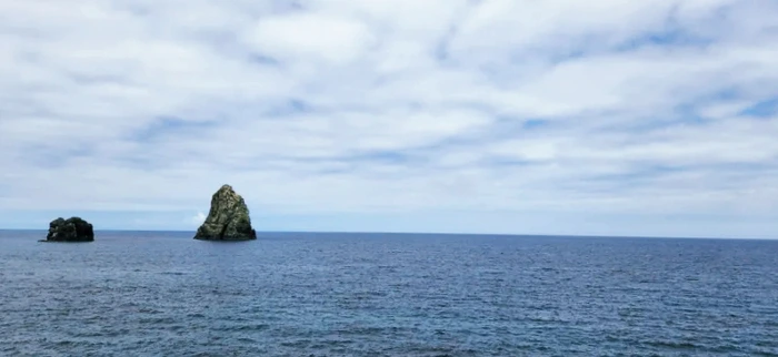 SE-e61f23ff-37fc-11ed-b9a7-7b9e262aa080.jpg?type=w773