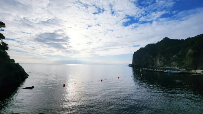 SE-1e91908d-49ce-11ed-9936-73ac6fe69c44.jpg?type=w773