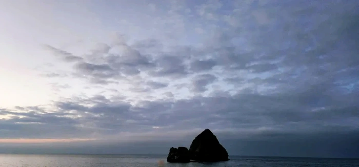 SE-1e90cd28-49ce-11ed-9936-29524f5af183.jpg?type=w773