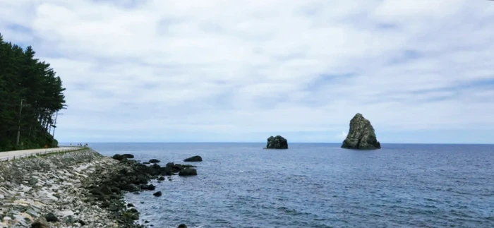 SE-e61efced-37fc-11ed-b9a7-4f8a5b6c87fc.jpg?type=w773