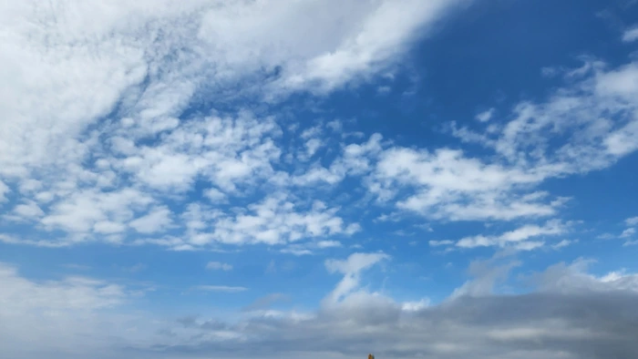 SE-45e89b23-3f0d-11ed-819a-a9ff6d7a814e.jpg?type=w773