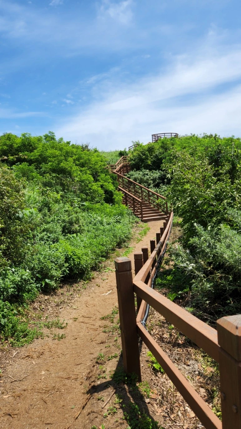 20220727%EF%BC%BF121501.jpg?type=w773