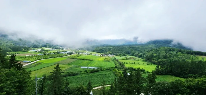 SE-e61f2403-37fc-11ed-b9a7-ef411bbdbe9a.jpg?type=w773