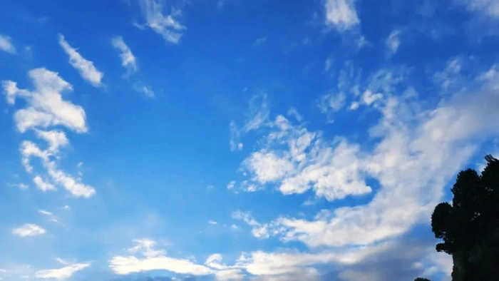 SE-1e914263-49ce-11ed-9936-830cf15ac5fc.jpg?type=w773