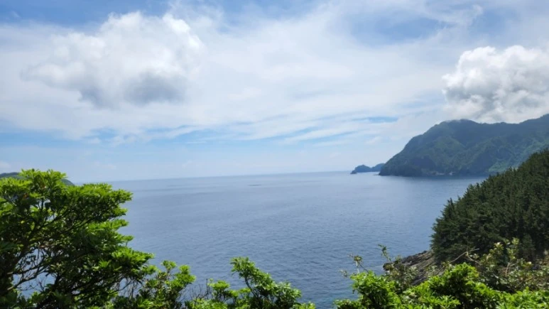 20220727%EF%BC%BF122250.jpg?type=w773