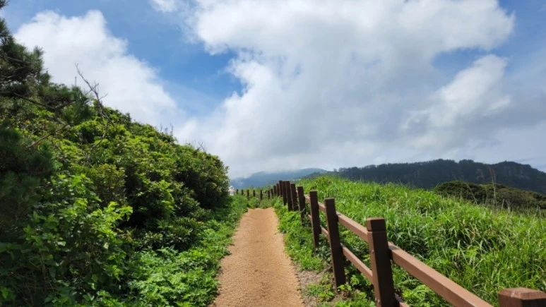 20220727%EF%BC%BF115730.jpg?type=w773