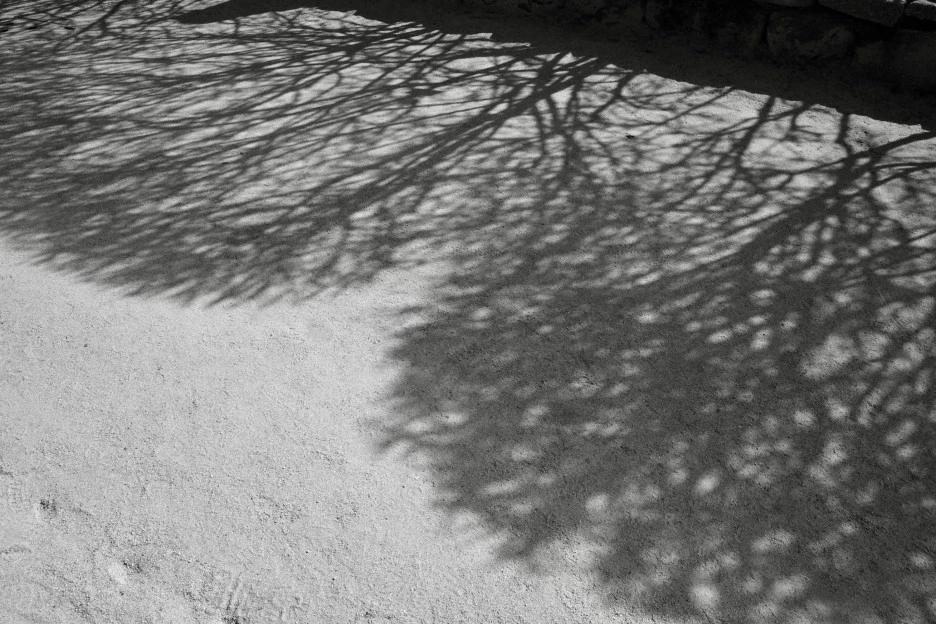 1646816231297-1.jpg?type=w1